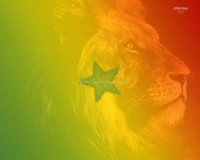 the lion